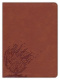 CSB Experiencing God Bible, Burnt Sienna